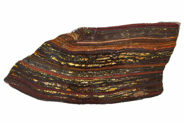 Polished Tiger Iron Stromatolite Slab - Billion Years #317905